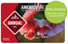 America the Beautiful National Parks Pass