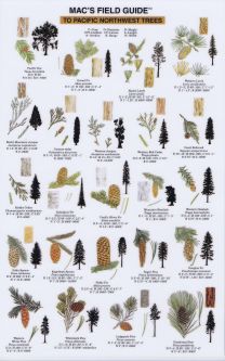 Mac's Field Guide to Pacific Northwest Trees