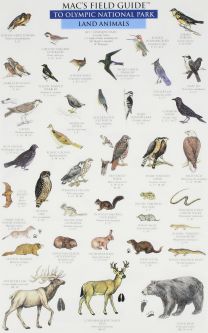 Mac's Field Guide to Olympic National Park: Land Mammals / Marine Life