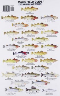 Mac's Field Guide to Salmon and Trout