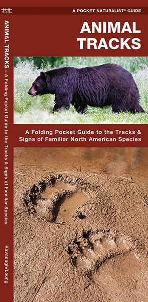 A Pocket Naturalist Guide to Animal Tracks