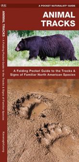 A Pocket Naturalist Guide to Animal Tracks