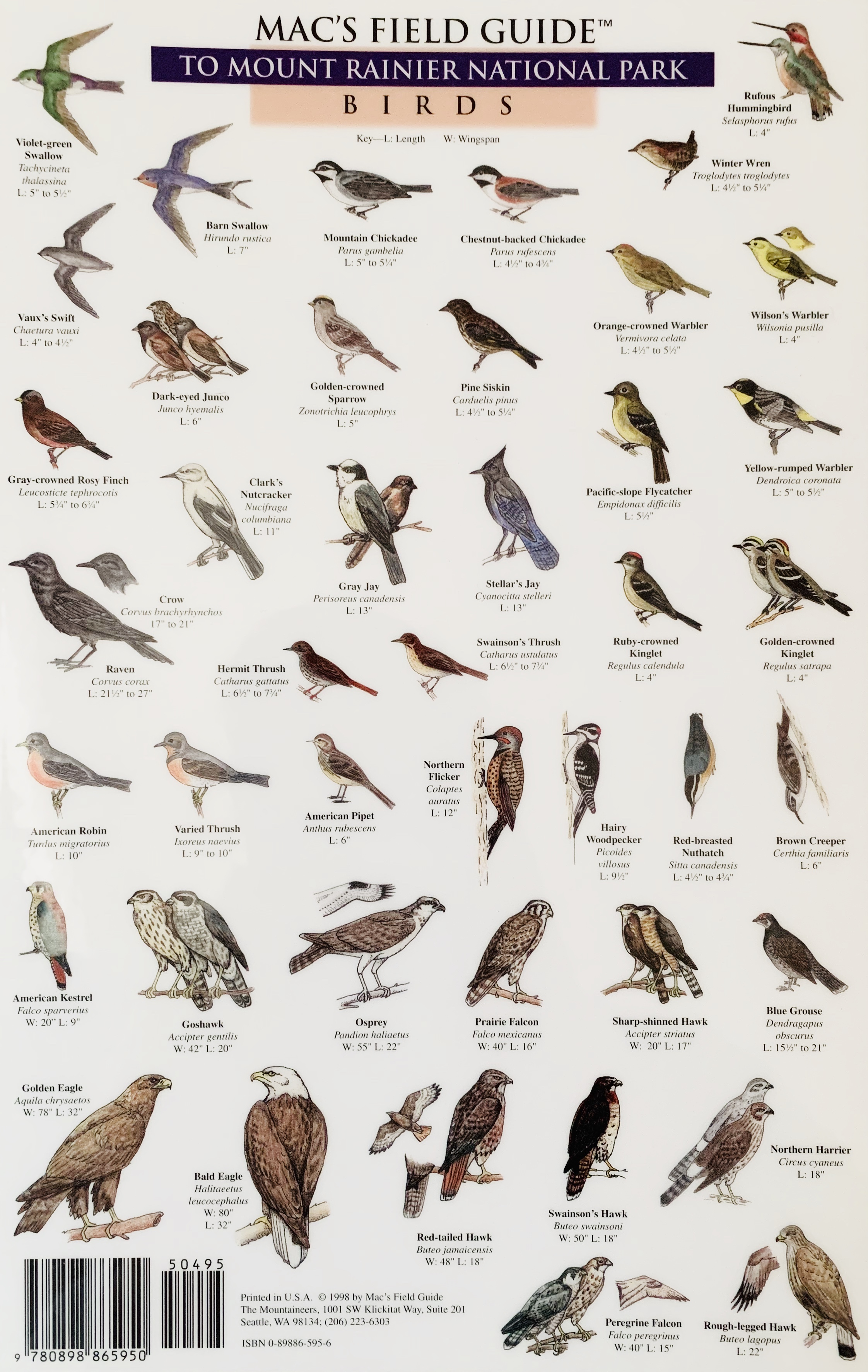 Mac's Field Guide to Mount Rainier Birds & Mammals