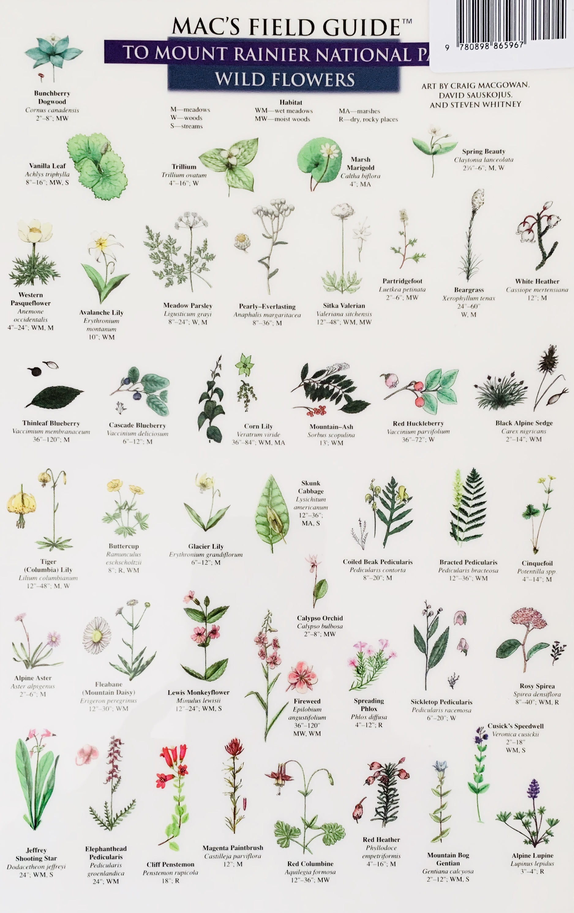 Mac's Field Guide to Mount Rainier Trees & Wildflowers