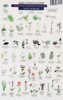 Mac's Field Guide to Mount Rainier Trees & Wildflowers