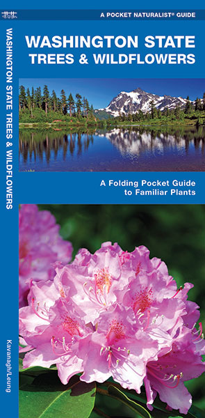 A Pocket Naturalist Guide to Washington State Trees & Wildflowers