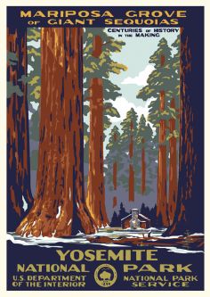 Yosemite National Park - Mariposa Grove Vintage Poster