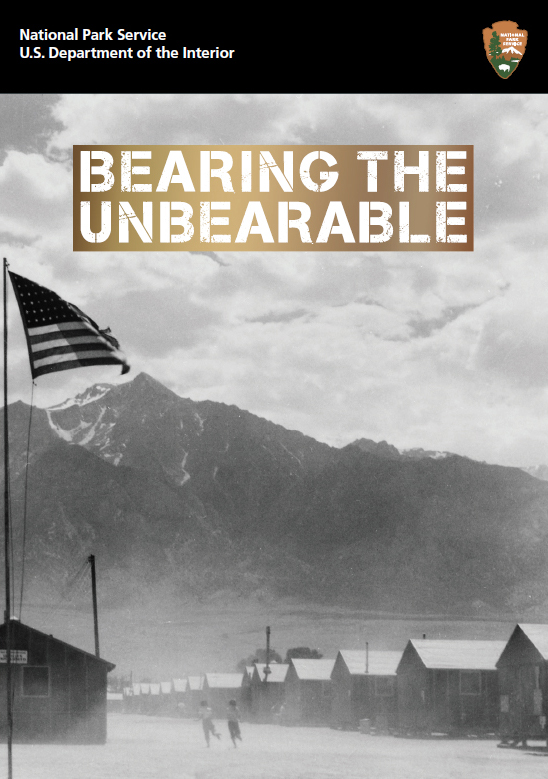 Bearing the Unbearable DVD