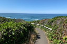 Cape Perpetua Trail Maintenance Program Donation