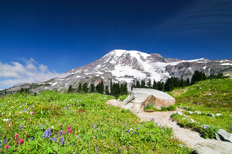 Mount Rainier National Park Visitor Programs Donation