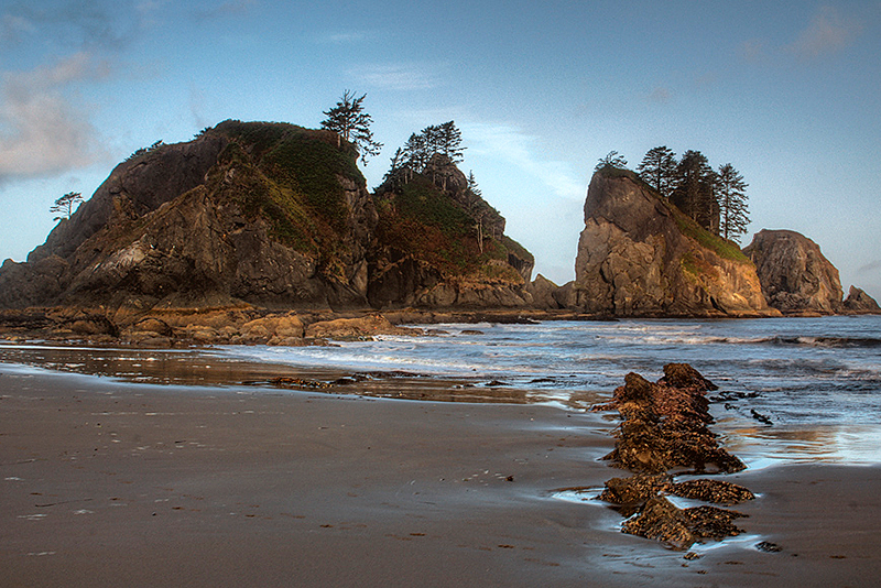 Olympic National Park Visitor Programs Donation