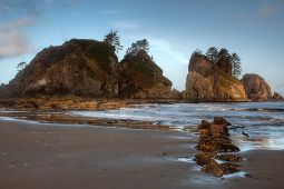 Olympic National Park Visitor Programs Donation