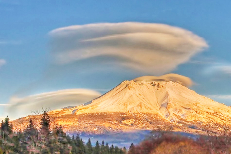 Shasta-Trinity National Forest Visitor Programs Donation