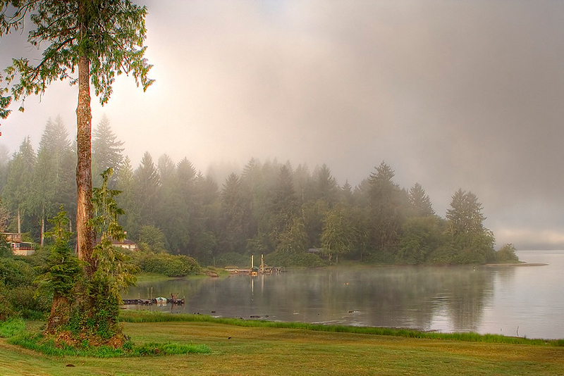 Olympic National Forest Visitor Programs Donation