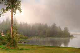 Olympic National Forest Visitor Programs Donation