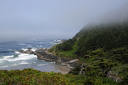 Cape Perpetua, Oregon Dunes, and Siuslaw National Forest Visitor Programs Donation