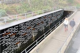 Legacy Fish: Ballard Locks Fish Ladder Renovation Donation