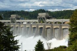 Bonneville Lock and Dam Visitor Programs Donation