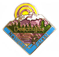 Deschutes National Forest Lapel Pin