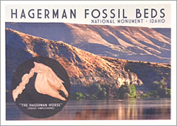 Hagerman Fossil Beds Magnet