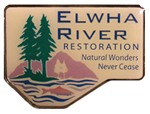 Elwha River Restoration Lapel Pin