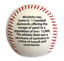 Minidoka Baseball