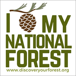 Discover Your Forest Annual Membership